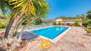 Privater Pool der Villa Miro, umgeben von einer Steinterrasse mit blauen Sonnenliegen, einer großen Palme im Vordergrund und der gelben Villa unter einem strahlend blauen Himmel.