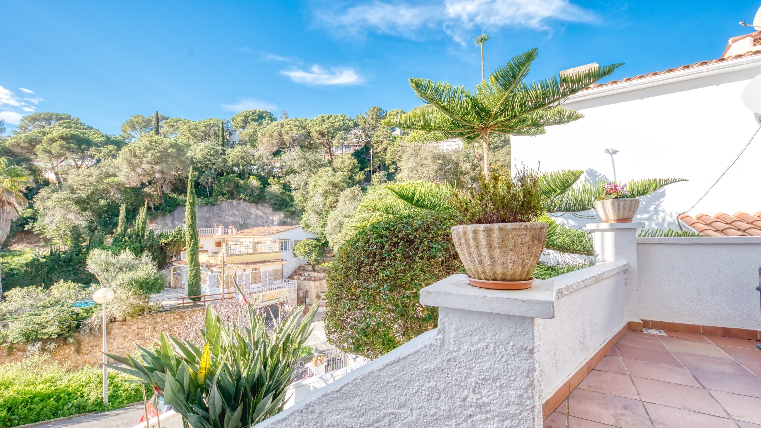 Ferienhäuser Costa Brava Spanien - Villa Blanca - Eine der Aussichten