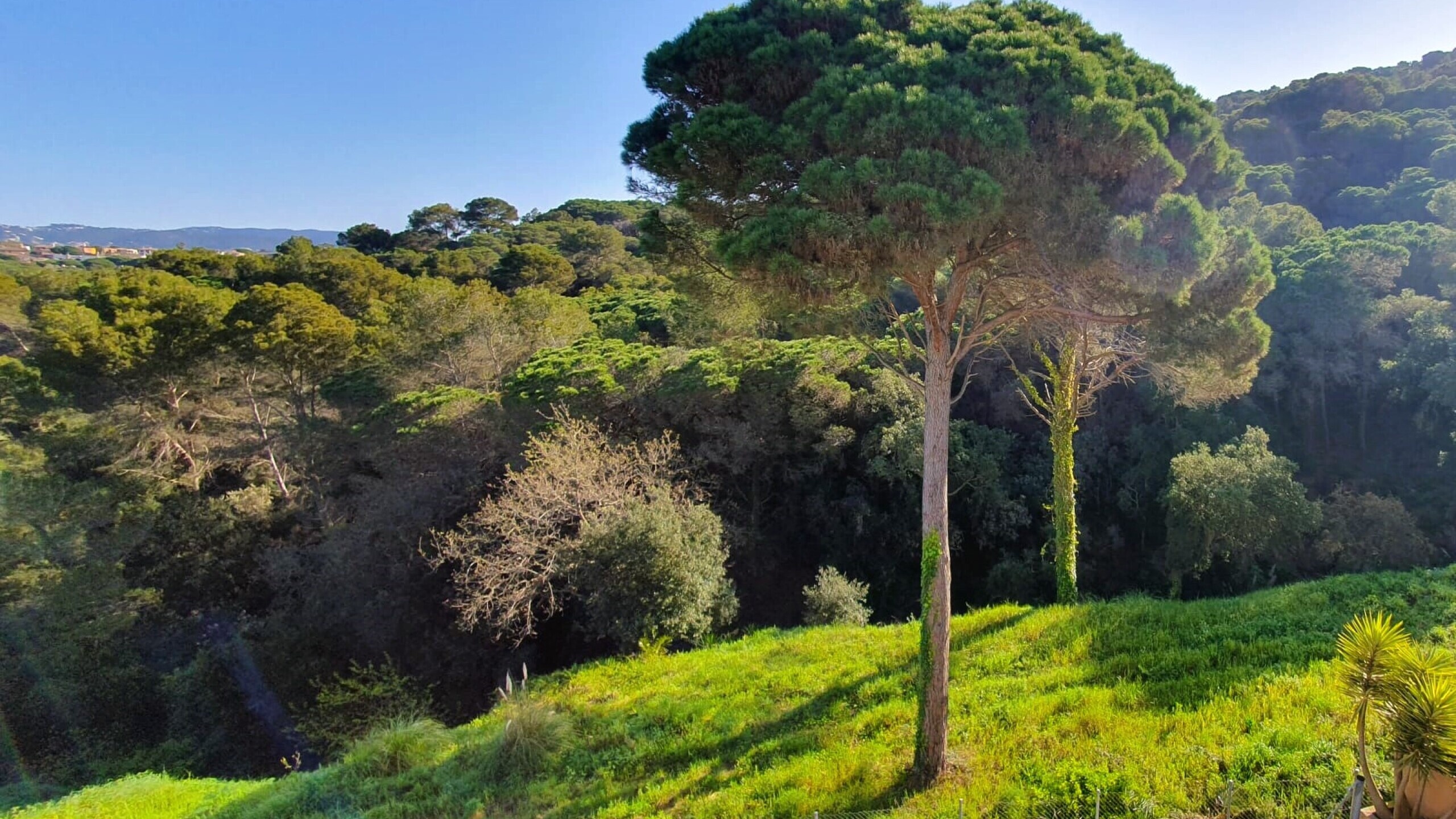 Ferienhäuser Costa Brava Spanien - Villa Fransisca - Eine der Aussichten