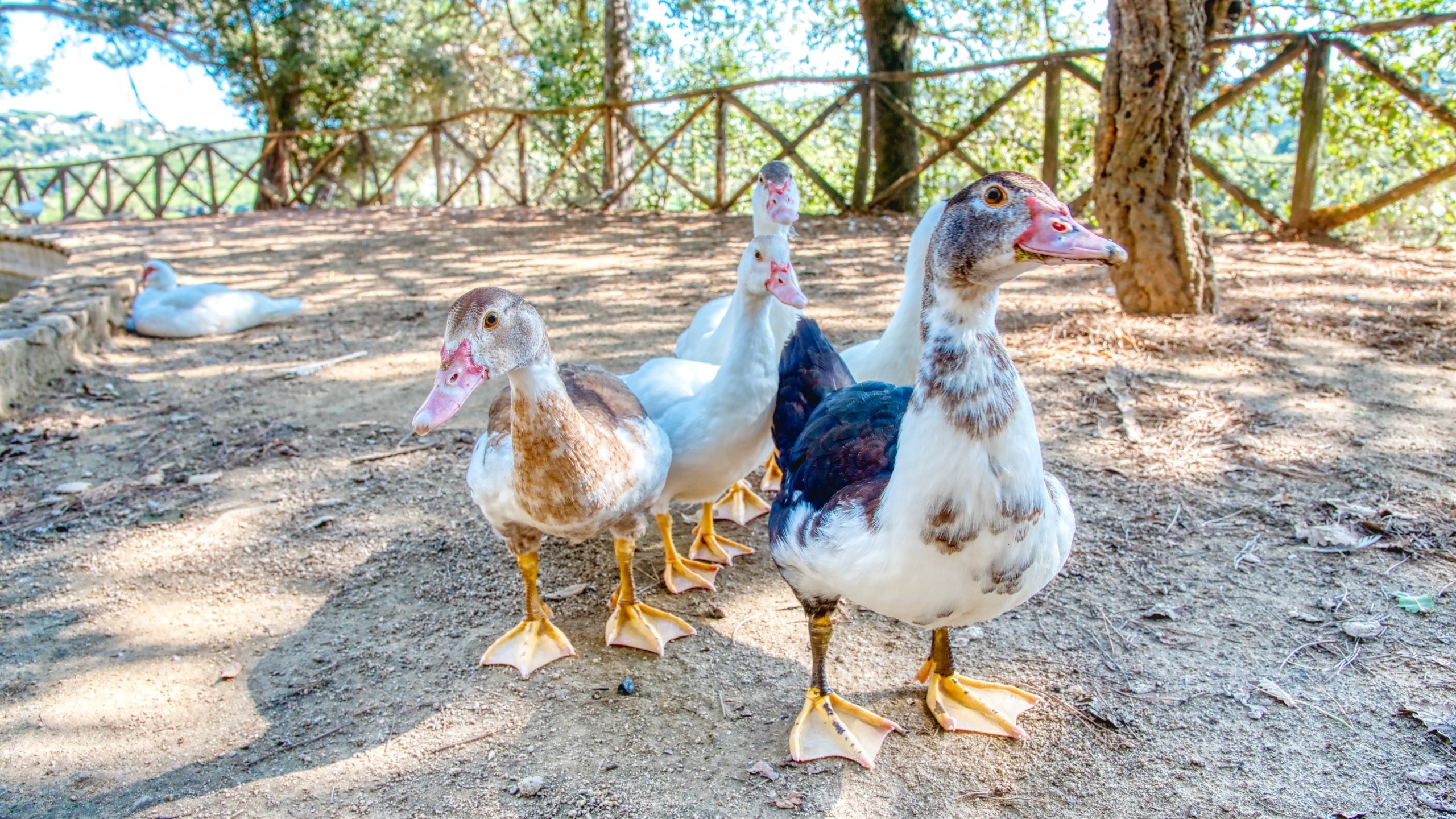 Ferienhäuser Costa Brava Spanien - Villa Paradise - Eine der Aussichten