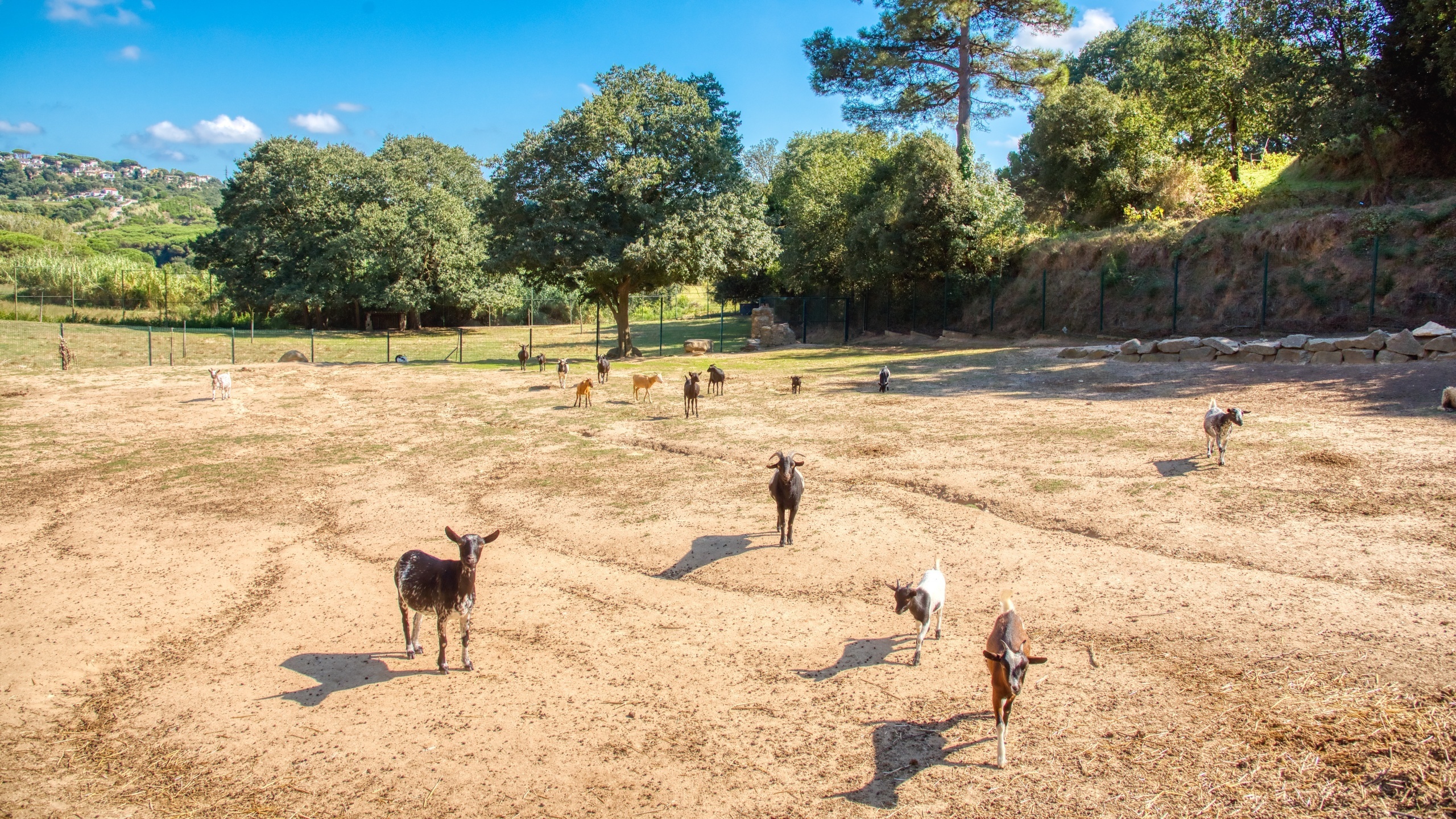 Ferienhäuser Costa Brava Spanien - Villa Paradise - Villa außen