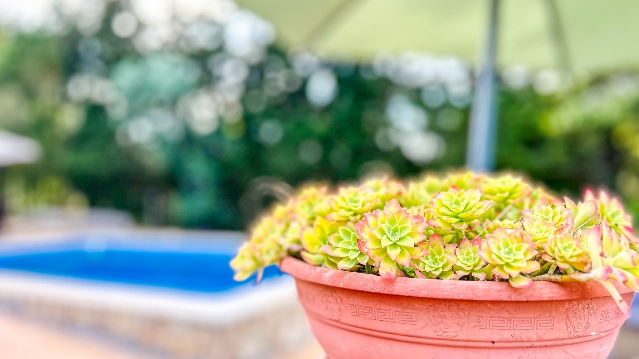 Ferienhäuser Costa Brava Spanien - Villa Iako - Villa außen